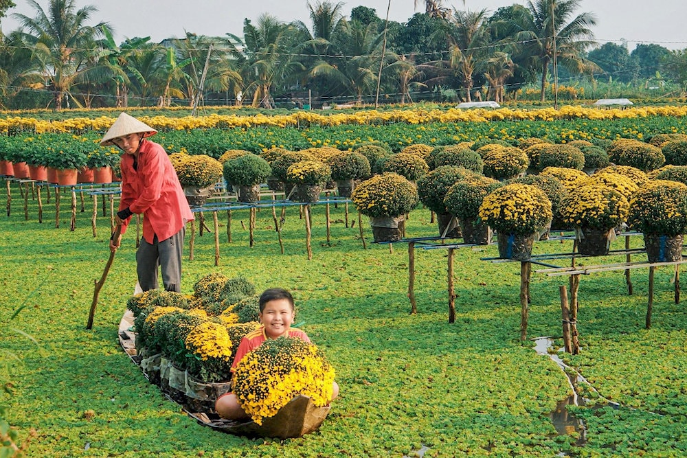 Thời điểm cận Tết hoặc vào mùa nước nổi là lúc lý tưởng để ghé thăm làng hoa Sa Đéc